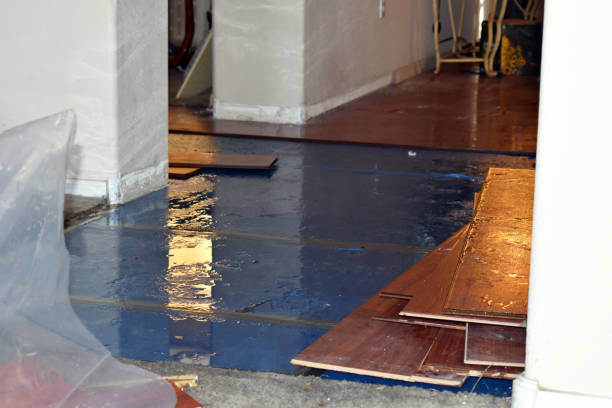 Professional Sewage Cleanup technician working in Kitts Hill, OH